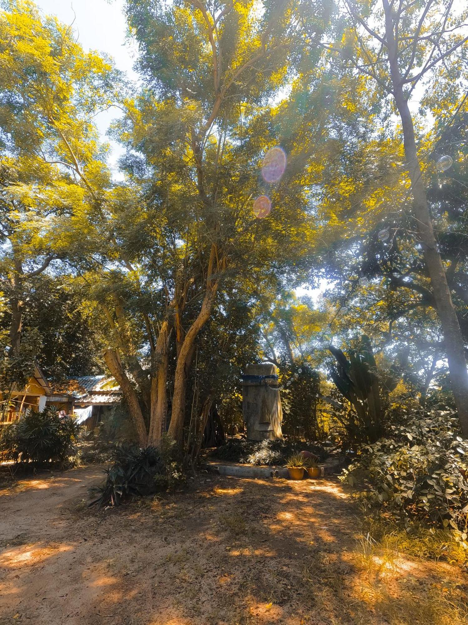Moov Inn Garden Hostel Ko Tao Eksteriør bilde