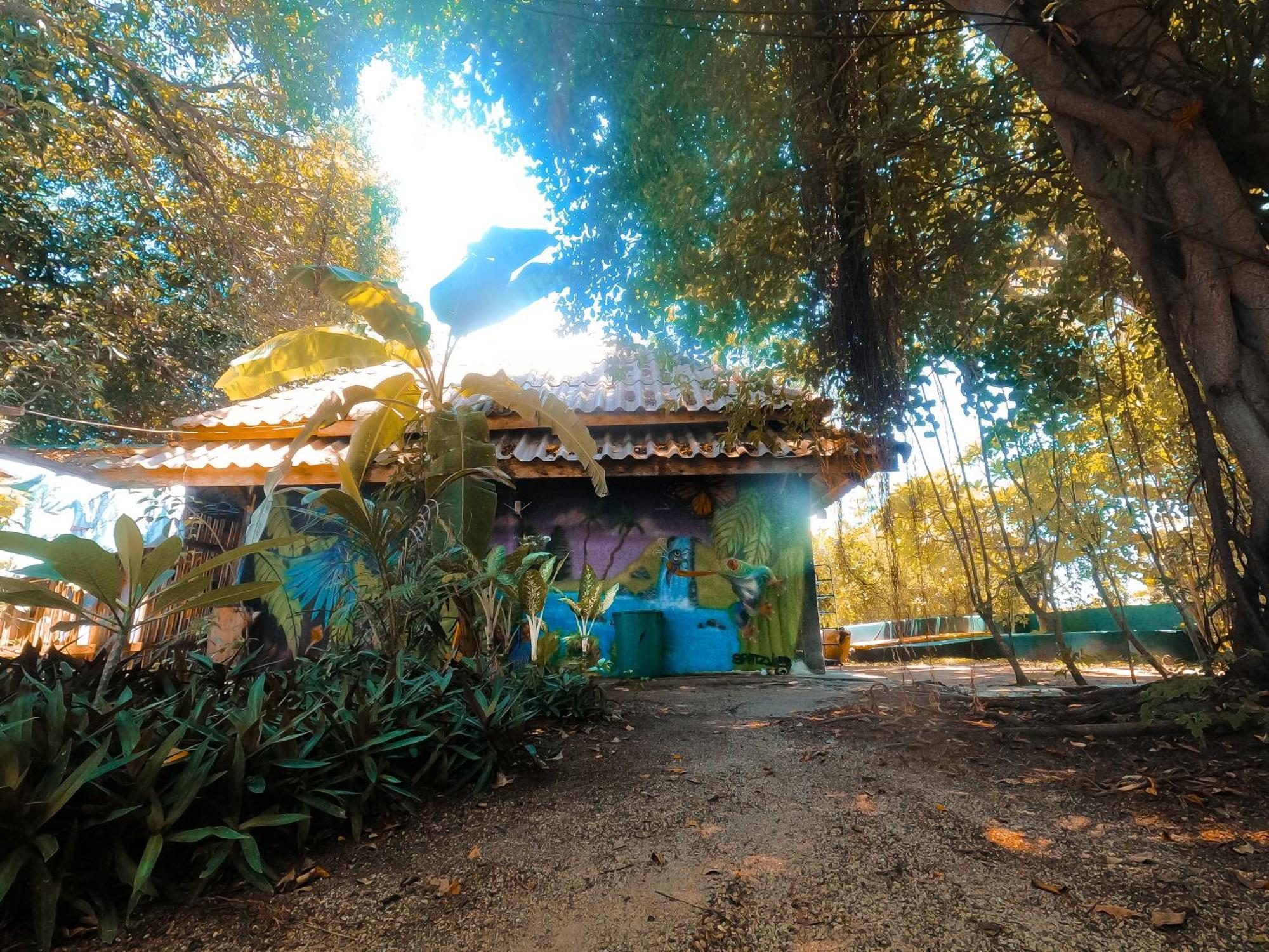 Moov Inn Garden Hostel Ko Tao Eksteriør bilde